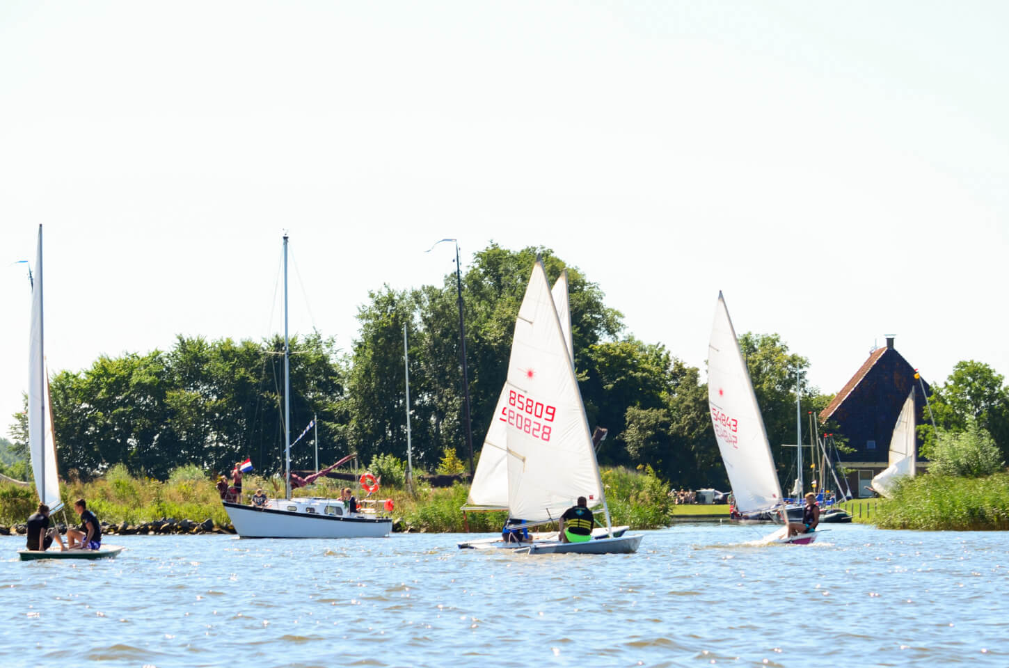 Het Heegermeer met meerdere watersporter en vooral zeilboten die genieten van de minicamping aan het water in Friesland